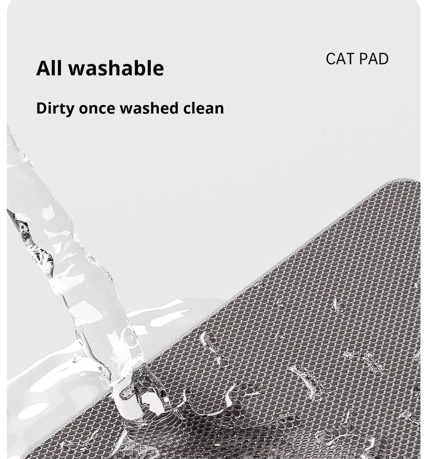 Clean Paws Litter Mat