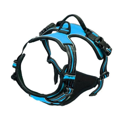 CalmWalk No-Pull Harness