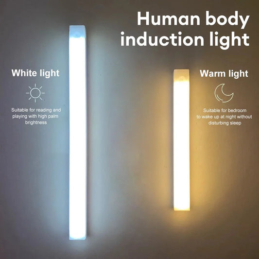 LumaSense Motion Light